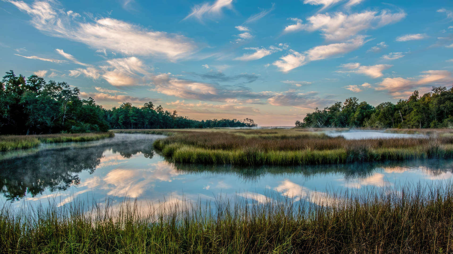 Davis Bayou Area Gulf Islands National Seashore