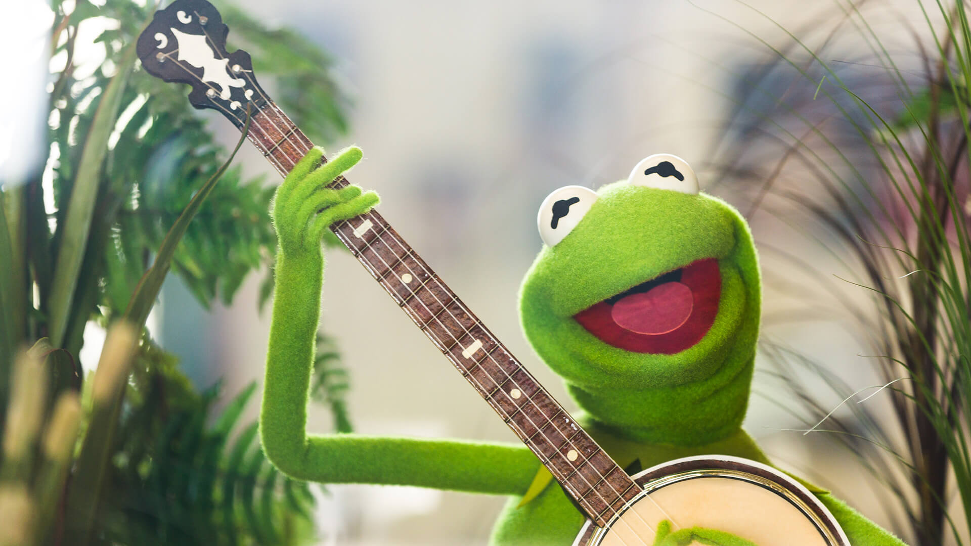 Birthplace of Kermit the Frog