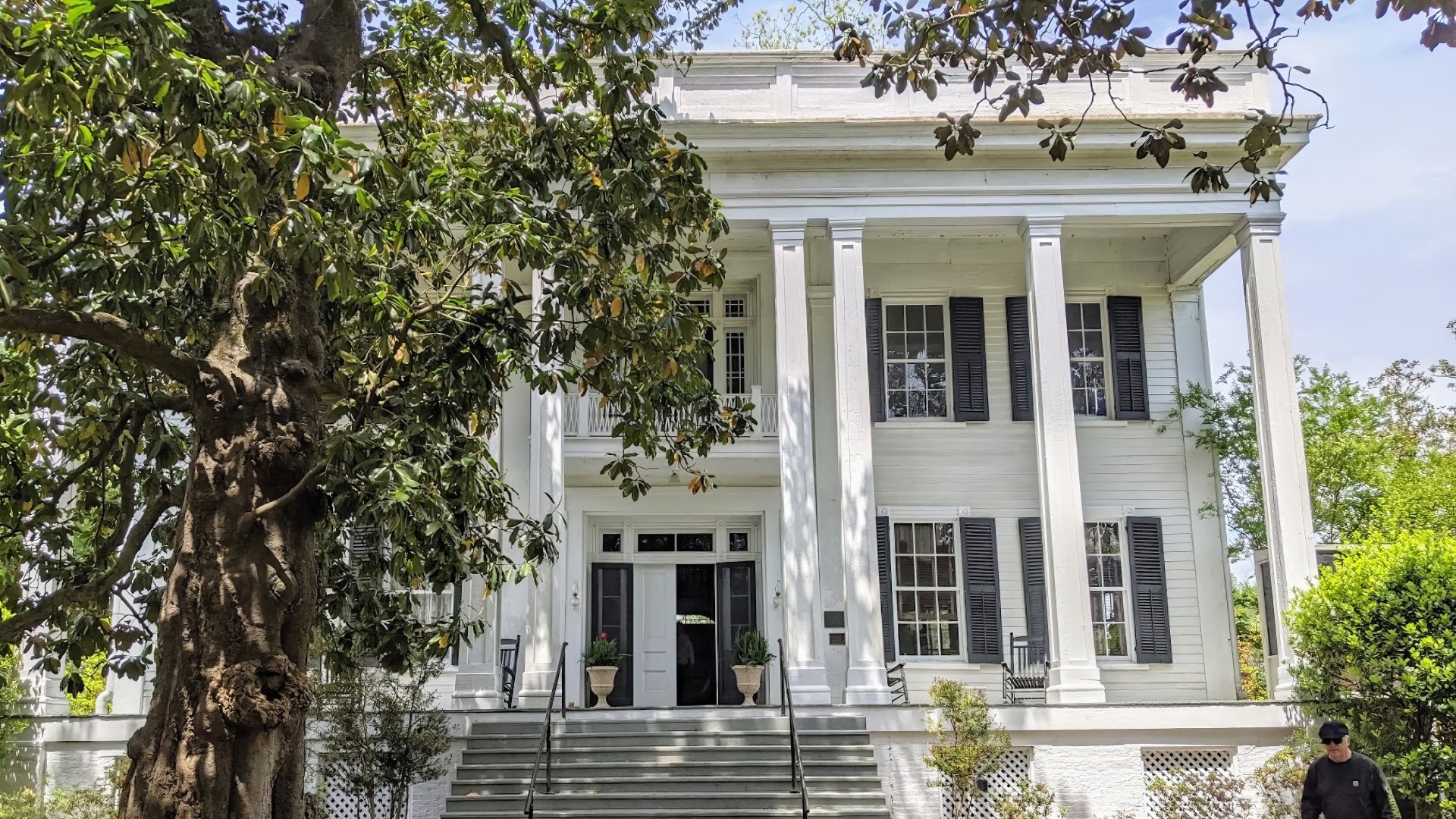 Magnolias of Aberdeen