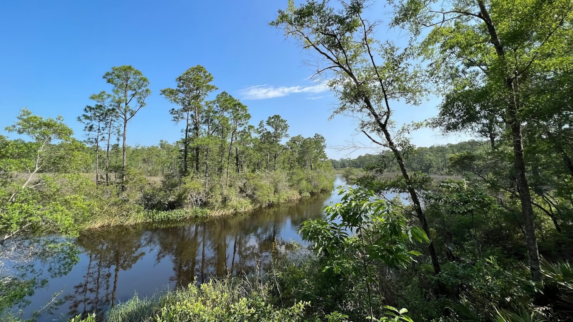 Mississippi Coastal Birding Trail