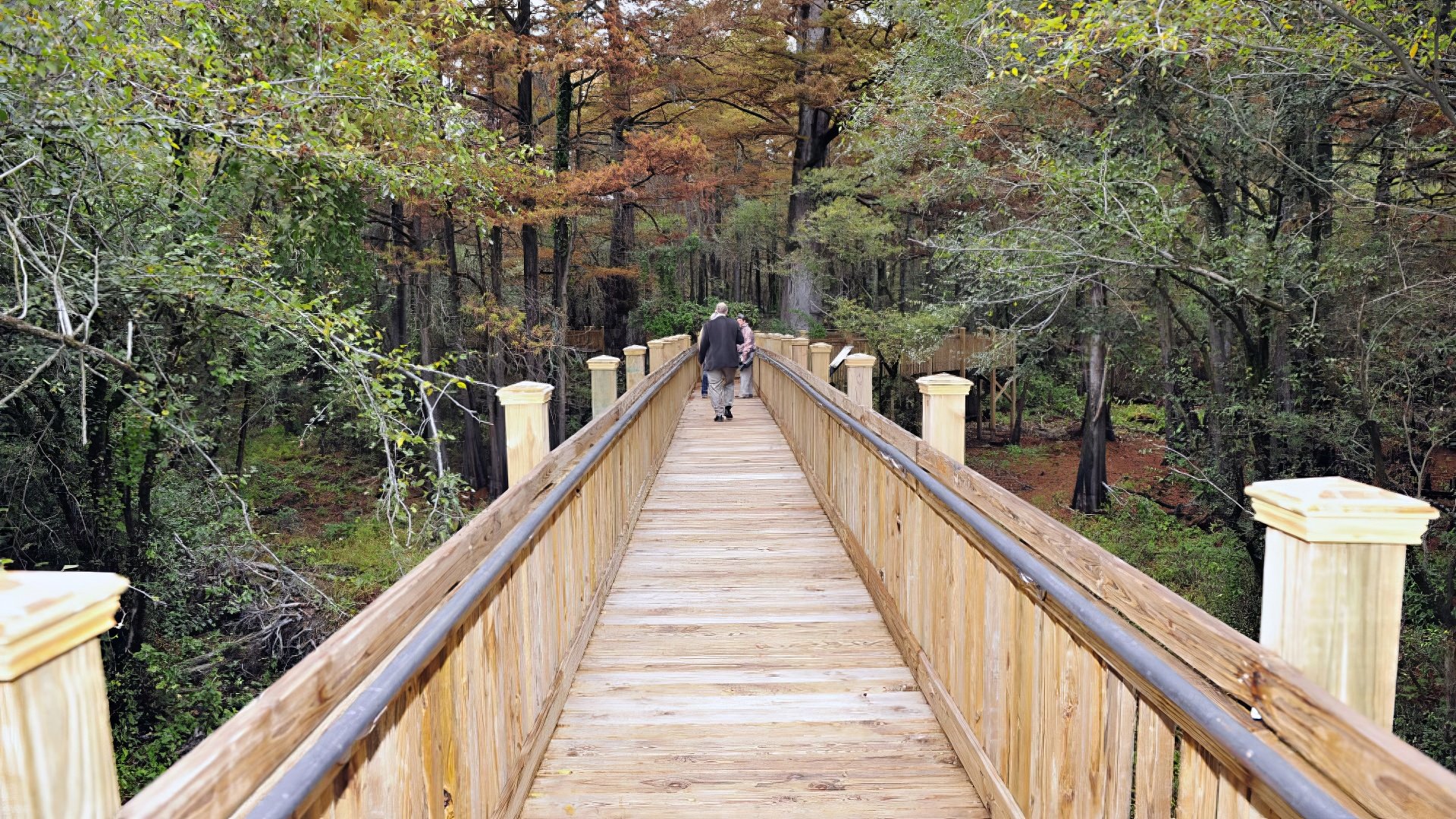 Sky Lake Wildlife Management Area